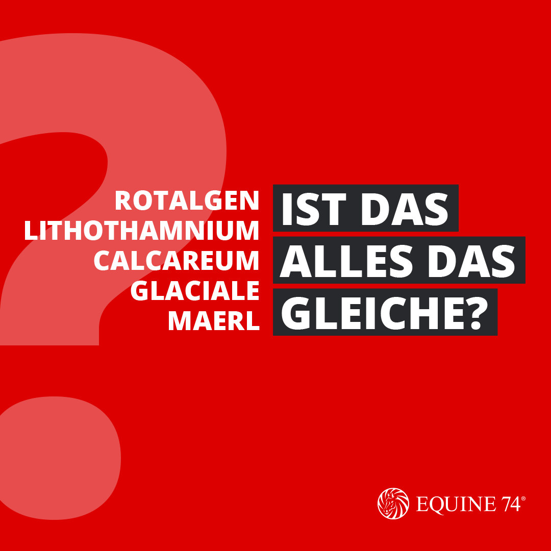 Rotalgen für Pferde