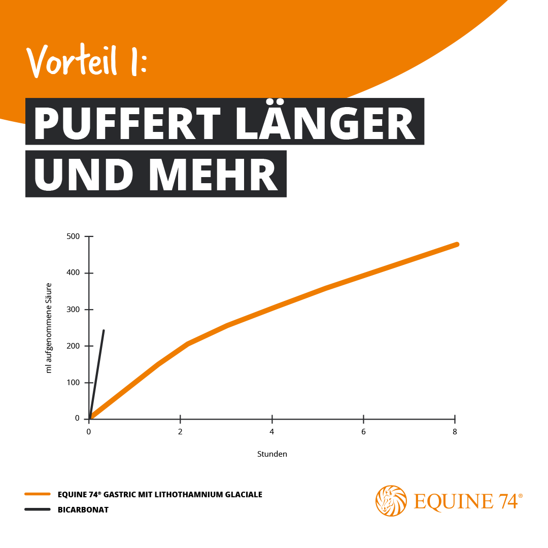 Rotalgen für Pferde